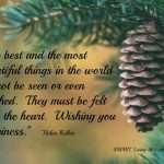 Ten Great Ways To Rightsize Your Christmas! SMART Living 365.com