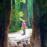 How & Why To Become a Wonder-Seeker Thom:awe