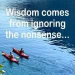 Why Critical Ignoring Is as Important as Critical Thinking in Today’s World Wisdom 2